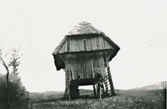 eika image